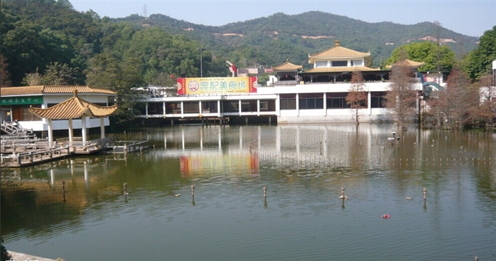 �����y���ɼٴ�